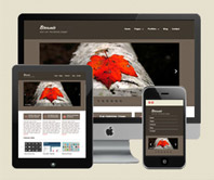 Web Site Design & E-Marketing